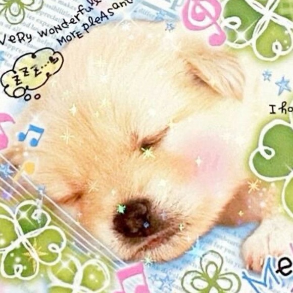 Meet your Posher, Mif - Picture 1 of 1